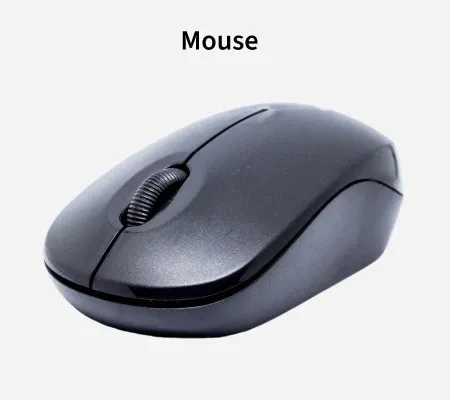 Mouse 2